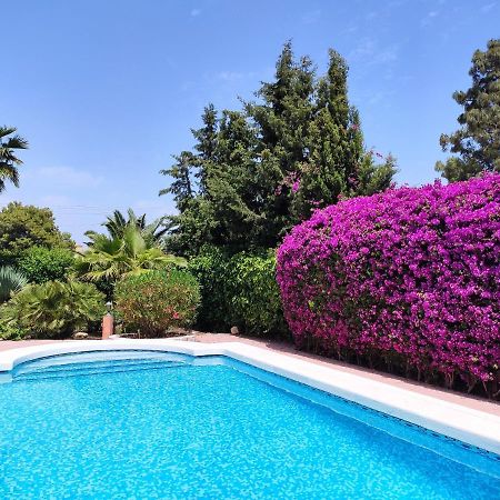 Villa With Private Pool, Bbq, Fitness Center & Sauna San Vicente Raspeig Exterior photo